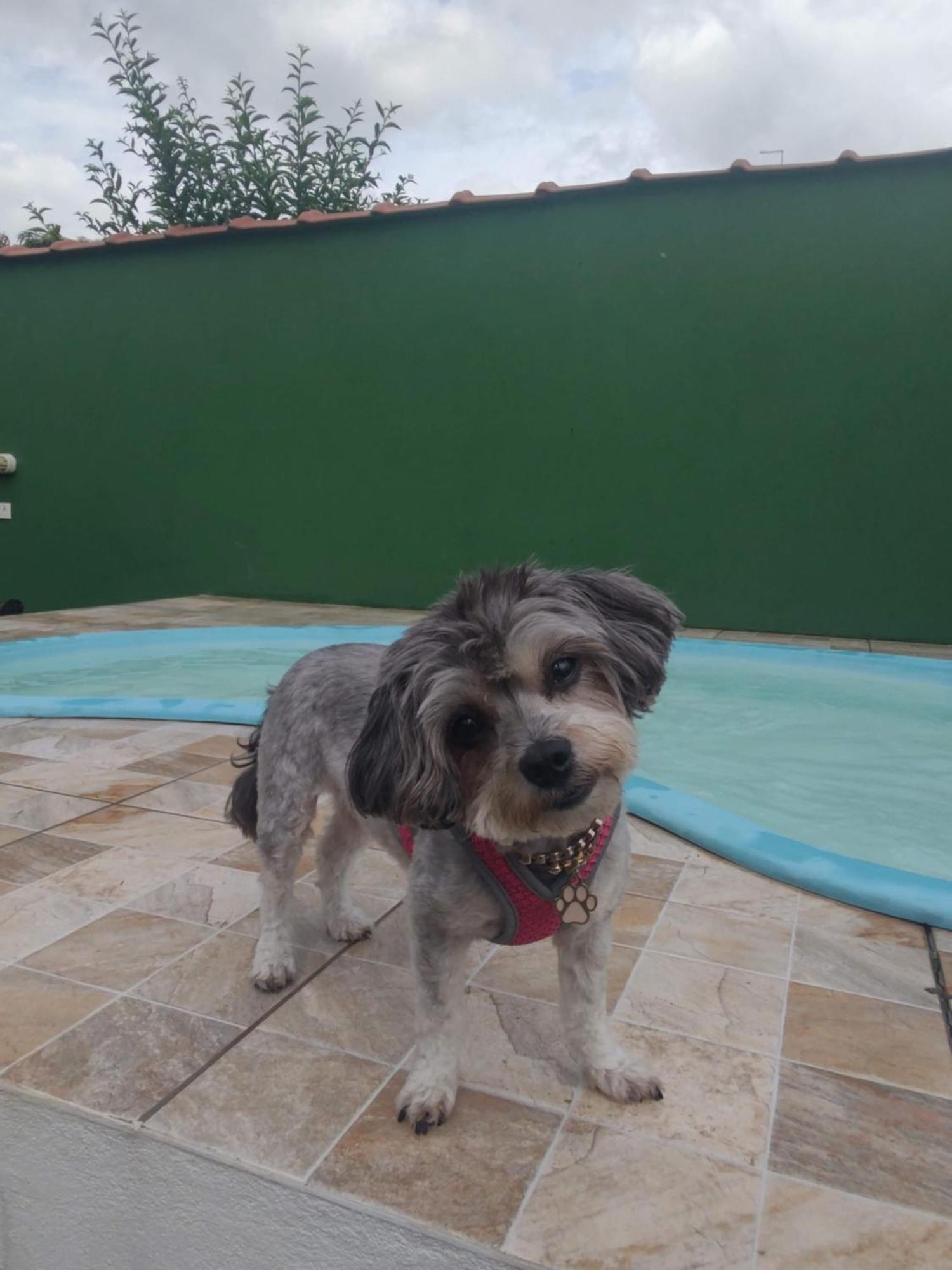 Casa Com Pisina Infantil Em
